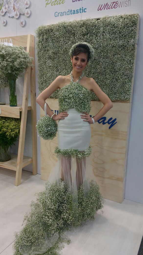 2017 Proflora Preview