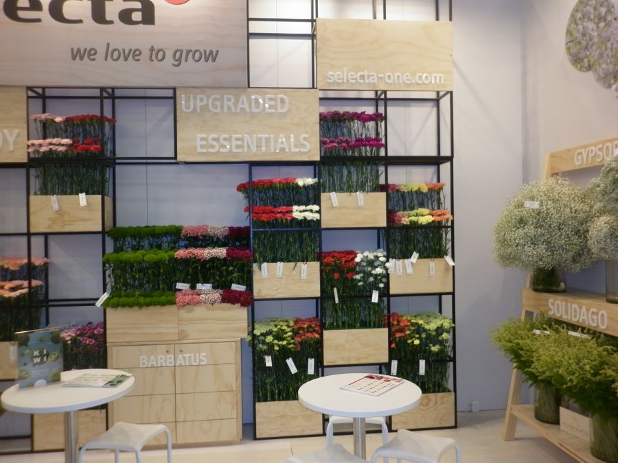2017 Proflora Preview