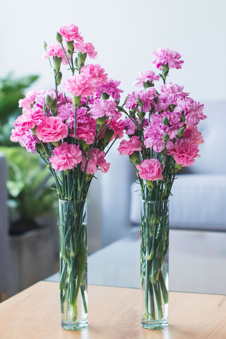 Selecta Cut Flowers at the IPM 2018: approved as well as new assortment