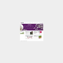 Selecta launches its new website.